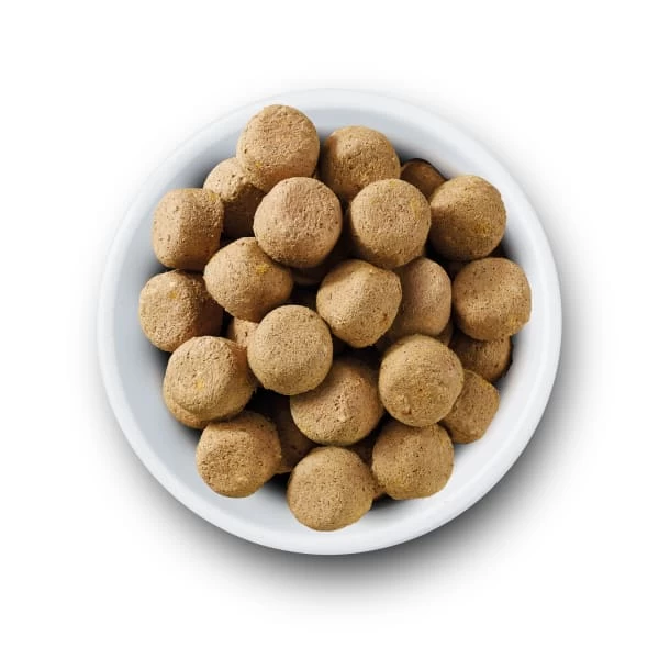 Nature's Variety Complete Freeze Dried Adult Dry Dog Food - Turkey 5 Nature's Variety Complete Freeze Dried Adult Dry Dog Food - Turkey - Image 3