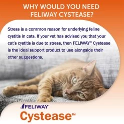 Feliway Cystease Advanced Urinary Tract Supplement -pet shop I0040254 en 07