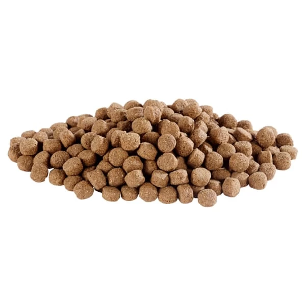 Harringtons Complete Adult Dry Dog Food - Turkey & Vegetable 4 Harringtons Complete Adult Dry Dog Food - Turkey & Vegetable - Image 2