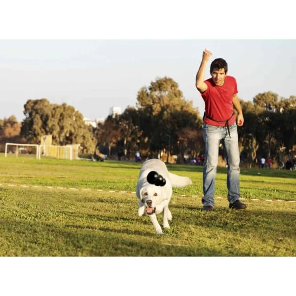 Kong Extreme Chew Dog Toy In Black 4 Kong Extreme Chew Dog Toy In Black - Image 2