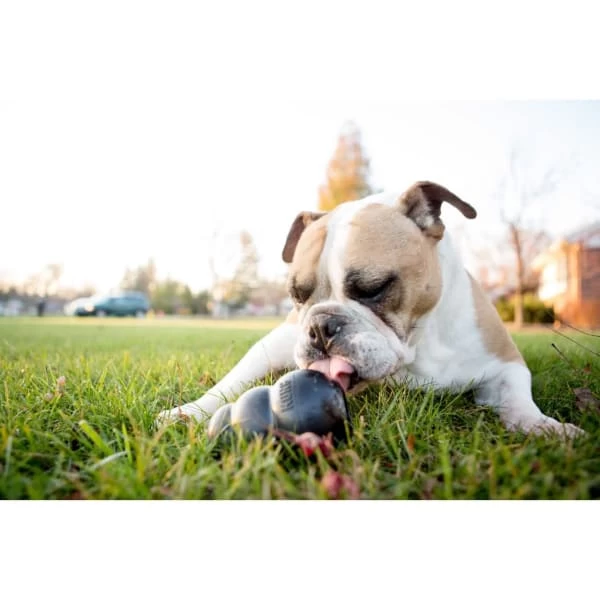 Kong Extreme Chew Dog Toy In Black 3 Kong Extreme Chew Dog Toy In Black