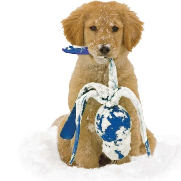 Kong Wubba Assorted Dog Tug Toy 3 Kong Wubba Assorted Dog Tug Toy