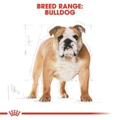 Royal Canin Bulldog Adult Dry Dog Food - Original 15 Royal Canin Bulldog Adult Dry Dog Food - Original -pet shop I0045288 en 03