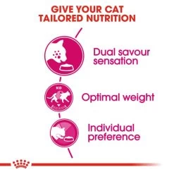 Royal Canin Savour Exigent Adult Dry Cat Food 14 Royal Canin Savour Exigent Adult Dry Cat Food -pet shop I0045362 en 04