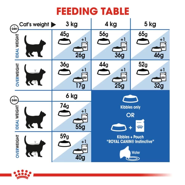 Royal Canin Indoor 27 Adult Dry Cat Food 6 Royal Canin Indoor 27 Adult Dry Cat Food - Image 4