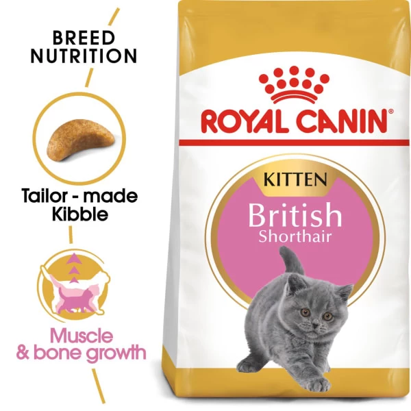 Royal Canin Kitten British Shorthair Dry Cat Food 10 Royal Canin Kitten British Shorthair Dry Cat Food - Image 9