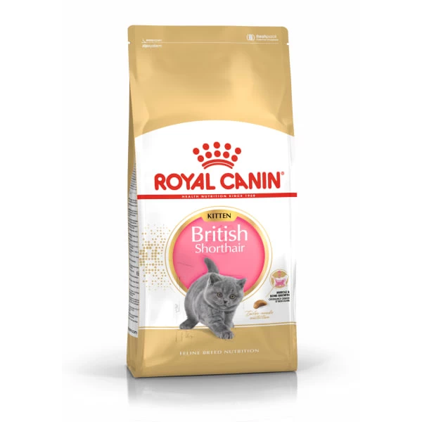Royal Canin Kitten British Shorthair Dry Cat Food 9 Royal Canin Kitten British Shorthair Dry Cat Food - Image 8