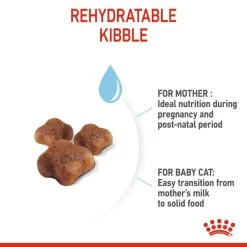 Royal Canin Mother & Babycat Adult/Kitten Dry Cat Food -pet shop I0045470 en 04
