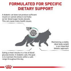 Royal Canin Veterinary Diet Diabetic Adult Dry Cat Food -pet shop I0045525 en 08