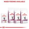 Royal Canin Veterinary Diet Renal Adult Wet Cat Food - Beef -pet shop I0045532 en 03