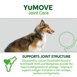 YuMOVE Dog Joint Supplement With ActivEase -pet shop I0047774 en 15