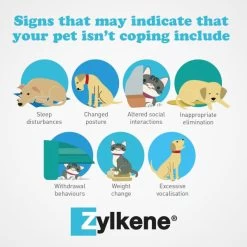 Zylkene Calming Supplement For Dog & Cat Up To 10kg 11 Zylkene Calming Supplement For Dog & Cat Up To 10kg -pet shop I0047794 en 04