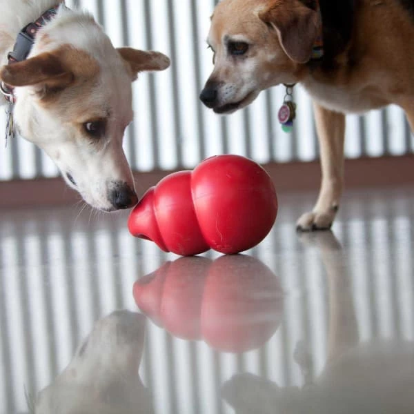 Kong Bounzer 3 Kong Bounzer