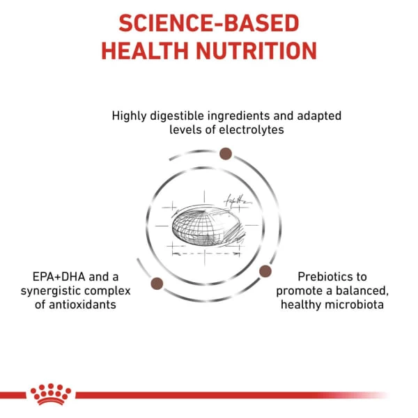 Royal Canin Gastrointestinal Moderate Calorie Dry Dog Food 8 Royal Canin Gastrointestinal Moderate Calorie Dry Dog Food - Image 6