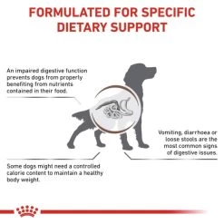 Royal Canin Gastrointestinal Moderate Calorie Dry Dog Food