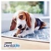 Purina Dentalife Small Adult Dog Chew Treat -pet shop I9435290 en 08