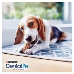 Purina Dentalife Small Adult Dog Chew Treat