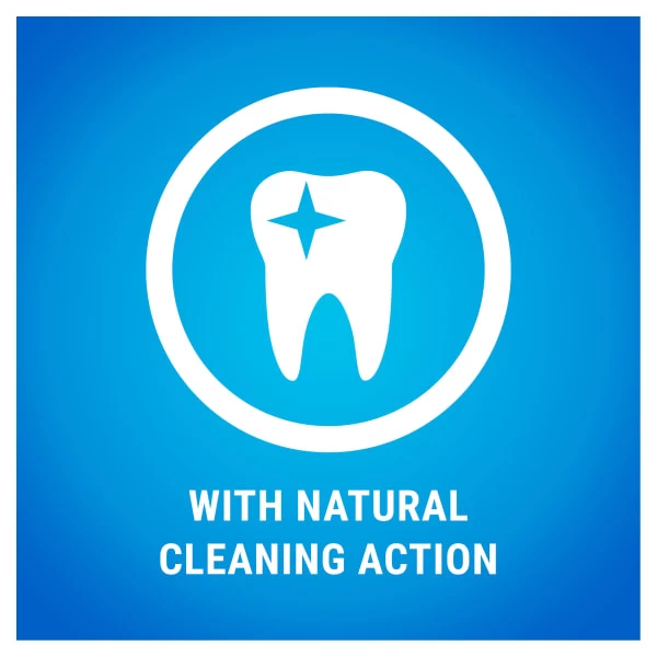 Purina Dentalife Small Adult Dog Chew Treat 12 Purina Dentalife Small Adult Dog Chew Treat - Image 10