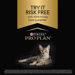 Purina Pro Plan Longevis Sterilised 7+ Senior Dry Cat Food - Turkey -pet shop I9441288 en 08