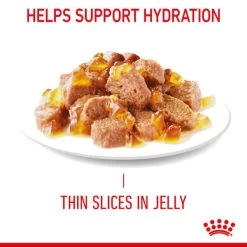 Royal Canin Appetite Control Sterilised Adult Wet Cat Food - Jelly 22 Royal Canin Appetite Control Sterilised Adult Wet Cat Food - Jelly -pet shop I9474304 en 04