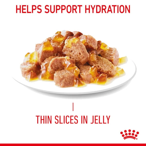 Royal Canin Appetite Control Sterilised Adult Wet Cat Food - Jelly 10 Royal Canin Appetite Control Sterilised Adult Wet Cat Food - Jelly - Image 8