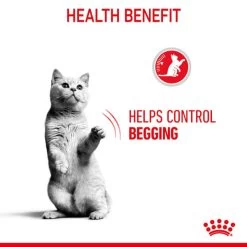 Royal Canin Appetite Control Sterilised Adult Wet Cat Food - Jelly 20 Royal Canin Appetite Control Sterilised Adult Wet Cat Food - Jelly -pet shop I9474304 en 06
