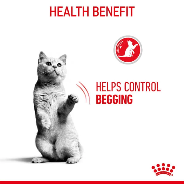 Royal Canin Appetite Control Sterilised Adult Wet Cat Food - Jelly 8 Royal Canin Appetite Control Sterilised Adult Wet Cat Food - Jelly - Image 6