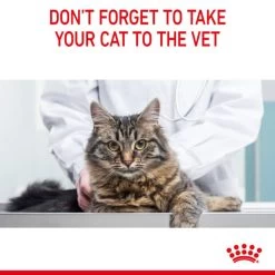Royal Canin Appetite Control Sterilised Adult Wet Cat Food - Jelly 16 Royal Canin Appetite Control Sterilised Adult Wet Cat Food - Jelly -pet shop I9474304 en 13