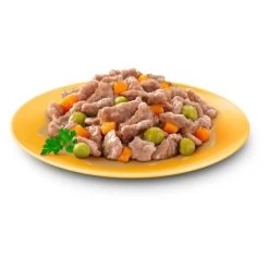 Cesar Country Stew Adult Wet Dog Food - Mixed Selection