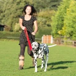 Halti Multifunctional Training Dog Lead In Red 11 Halti Multifunctional Training Dog Lead In Red -pet shop I9499438 en 04