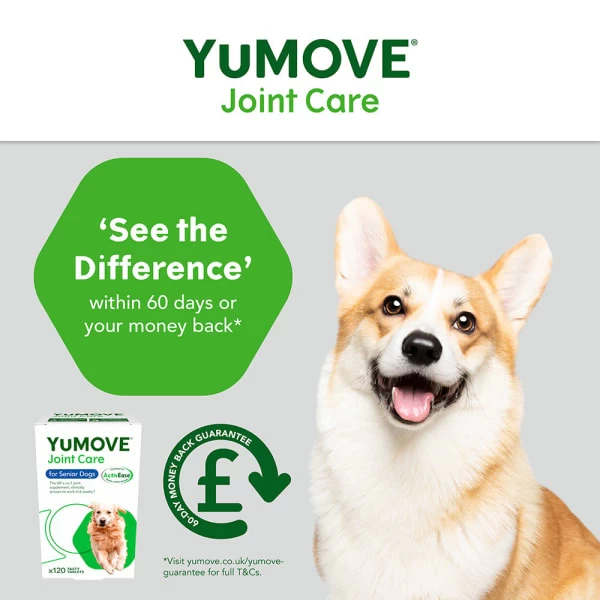 YuMOVE Joint Supplement For Senior Dogs 8 YuMOVE Joint Supplement For Senior Dogs - Image 6