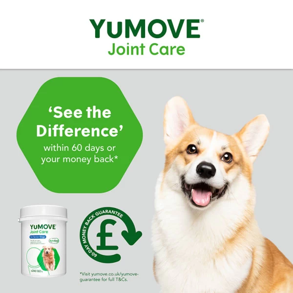 YuMOVE Joint Supplement For Senior Dogs 7 YuMOVE Joint Supplement For Senior Dogs - Image 5