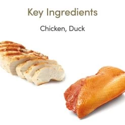 Applaws Grain-free Wet Cat Food Chicken With Duck In Gravy 13 Applaws Grain-free Wet Cat Food Chicken With Duck In Gravy -pet shop I9520425 02