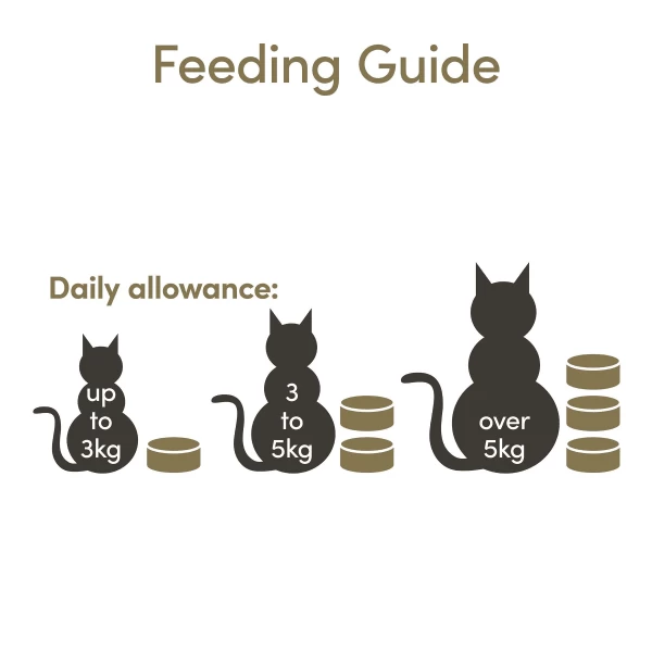 Applaws Grain-free Wet Cat Food Chicken With Duck In Gravy 5 Applaws Grain-free Wet Cat Food Chicken With Duck In Gravy - Image 3