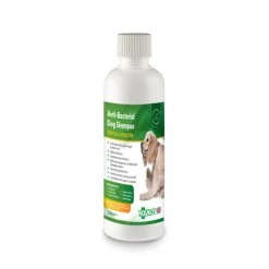Aqueos Anti-Bacterial Anti-Viral Dog Shampoo