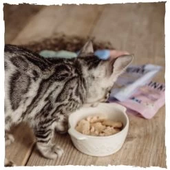 Blink Wet Cat Food - Fish Selection