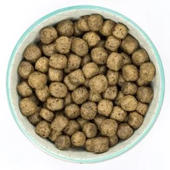 Burns Free From Puppy Duck And Potato Dry Dog Food -pet shop I9520613 en 05