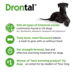 Drontal Tasty Bone Wormer Tablets For Small And Medium Dogs (2 To 20kg) 1 Tablet Per 10kg