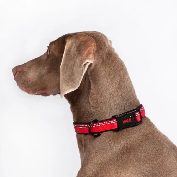 Halti Red Dog Collar 3 Halti Red Dog Collar