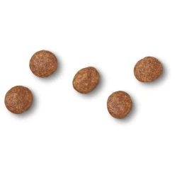 James Wellbeloved Grain-free Adult Turkey Dry Cat Food -pet shop I9521696 en 04