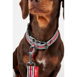 Joules Red Coastal Dog Collar -pet shop I9521722 en 02