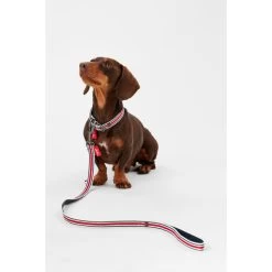 Joules Red Coastal Dog Collar -pet shop I9521722 en 04