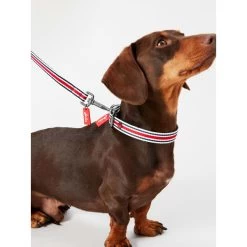 Joules Red Coastal Dog Collar -pet shop I9521722 en 06