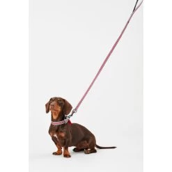Joules Red Coastal Dog Collar -pet shop I9521722 en 07