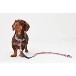 Joules Red Coastal Dog Collar -pet shop I9521722 en 08