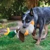 KONG Shakers Honkers Duck For Dog Toy 1 KONG Shakers Honkers Duck For Dog Toy -pet shop I9521814 02