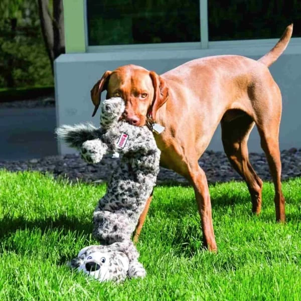KONG Stretchezz Jumbo Snow Leopard For Dog Toy 4 KONG Stretchezz Jumbo Snow Leopard For Dog Toy - Image 2
