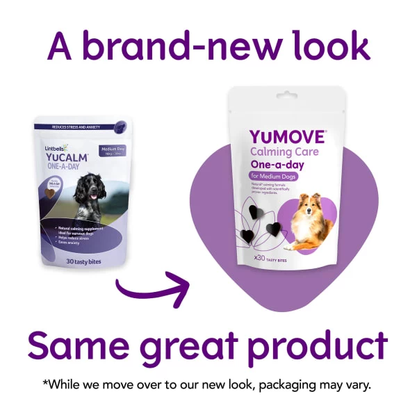 YuMOVE One-A-Day Calming Care Supplement For Medium Dogs 5 YuMOVE One-A-Day Calming Care Supplement For Medium Dogs - Image 3
