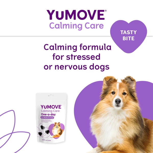 YuMOVE One-A-Day Calming Care Supplement For Medium Dogs 3 YuMOVE One-A-Day Calming Care Supplement For Medium Dogs