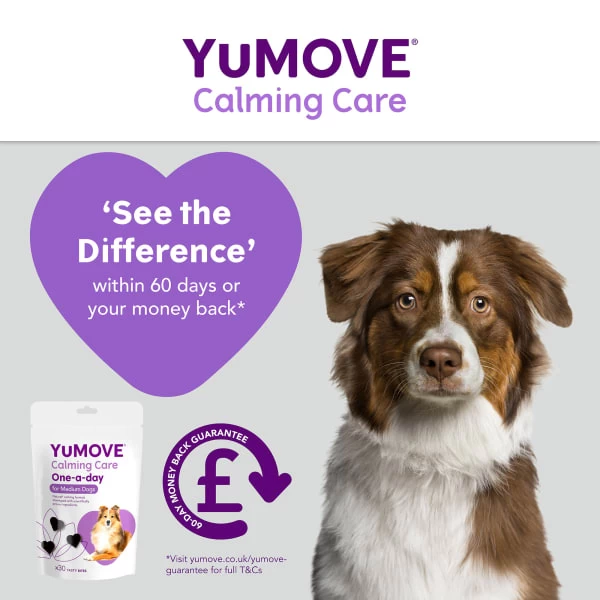 YuMOVE One-A-Day Calming Care Supplement For Medium Dogs 4 YuMOVE One-A-Day Calming Care Supplement For Medium Dogs - Image 2